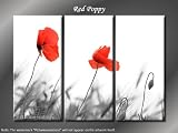 Framed Huge 3 Panel Flower Floral Red Poppy Giclee Canvas Print