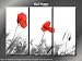 Framed Huge 3 Panel Flower Floral Red Poppy Giclee Canvas Print
