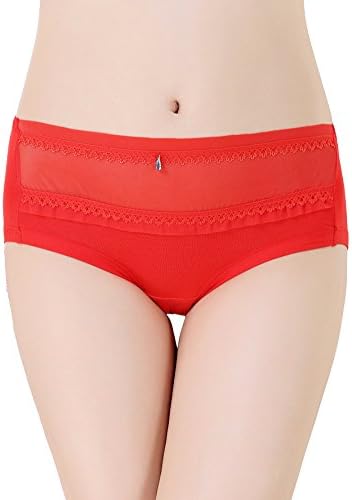 Meicent Women's Sexy Perspective Panties Seamless Hipster Briefs