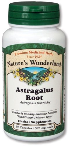 Nature's Wonderland Astragalus Root Herbal Supplement Capsules, 595 mg, 60-Count Bottles... by Astragalus Capsules