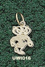 Univ Of Wisconsin Bucky 2 Sided 1/2" Sterling Silver Charm/Pendant