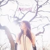 透明な桜