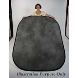 Lastolite LL LB67WU 6 x 7 Feet Collapsible Reversible Background with Train (Wyoming/Mississippi)