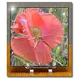 peach iceland poppy - 6x6 Desk Clock