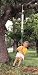 Search : Spring Swing Single With Disc