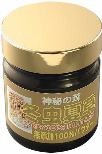 冬虫夏草（中国産）無添加100%パウダー【100g】