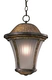 Amarante Fluorescent 16 3/8 High Outdoor Hanging Light