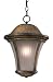Amarante Fluorescent 16 3/8 High Outdoor Hanging Light