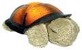 Cloud b Twilight Turtle - Constellation Night Light