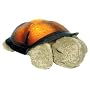Cloud b Twilight Turtle - Constellation Night Light