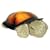 Cloud b Twilight Turtle - Constellation Night Light