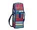 PackIt Freezable Wine Cooler Bag with Zip Closure, Cali Stripes