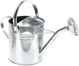 Prima Flora 410120 ZINK-GIESSKANNE, 5 Liter