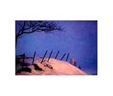 IMAGE OF La Ligne Finest LAMINATED Print Francis Pelletier 19x16