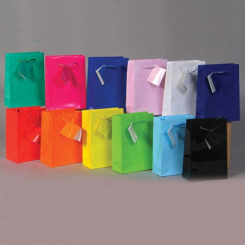 Small Gift Bags/White