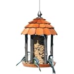 Birdscapes 50129