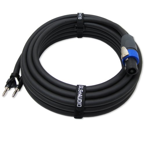 GLS Audio 25 feet Speaker Cable 12AWG Patch Cords - 25 ft Speakon to Banana Professional Cables Black Neutrik NL4FX (NL4FC) 12 Gauge Wire - Pro 25' Speak-on Cord 12G - Single