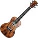 Kala KA-GAC Concert Size Ukulele w/Solid Acacia Top Kala KA-GAC Concert Size Ukulele w/Solid Acacia Top