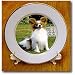 Papillon - 8 Inch Porcelain Plate
