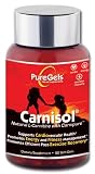 Pure Gels Carnisol with L-Carnipure, 90 Soft Gels