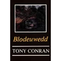 Blodeuwedd