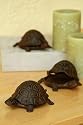 Miniature Tropical Reef Sea Turtle Brass Sealife Box