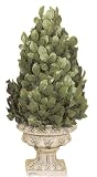 16 EURO CONE BOXWOOD TOPIARY 2PC.