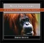 Sumatra Days, Sumatra Nights
