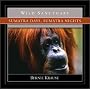 Sumatra Days, Sumatra Nights