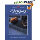 Sponging Etc.: The Home Decorating Institute (Creative Touches) by Creative Publishing International