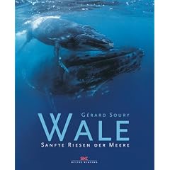Wale: Sanfte Riesen der Meere