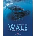 Wale: Sanfte Riesen der Meere