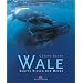 Wale: Sanfte Riesen der Meere