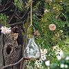 Small Hanging Wasp Trap