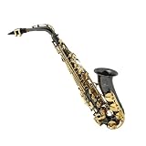Cecilio 2Series Black Nickel Plated w / Gold Plated Keys Alto Saxophone w / Carrying Case and Accessories - B00157P7D2