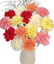 15 Classic Carnations