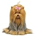 yorkshire terrier - TY Classics Mitsy - Yorkshire Terrier