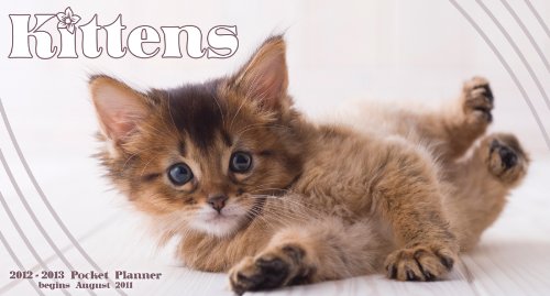 Kittens 2012 Pocket Planner