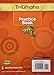 Reading Triumphs Grade 3 Practice Book