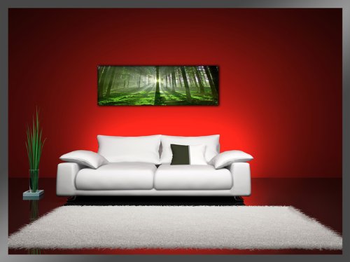 Imagen 2 de Visario 5706