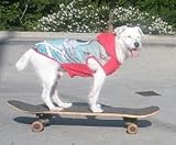 Dog SK8R Hoodie t-shirt, Medium