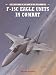 F-15C Eagle Units in Combat (Combat Aircraft)