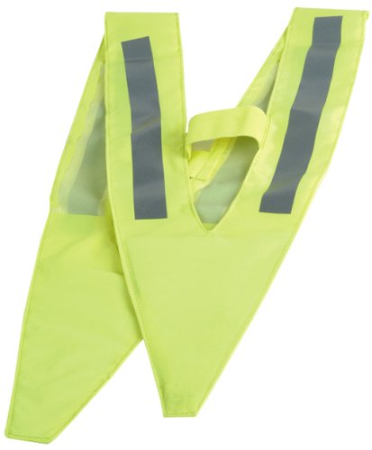 Hudora Kindersicherheitsweste 85030 Preisvergleich