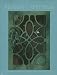 Bearing Witness: Contemporary Works by African American Women Artists by Jontyle Theresa Robinson ISBN 0847819639