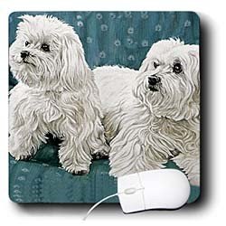 image link - - B000EGITOE