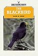 The Blackbird (Shire natural history)