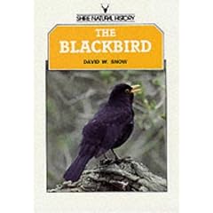 The Blackbird