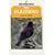 The Blackbird (Shire natural history)