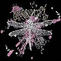 Dragonfly Splat Womens Scoop Neck T-Shirt