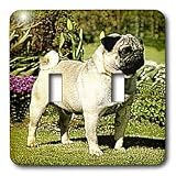Dogs Pug - Fawn Pug - Light Switch Covers - double toggle switch